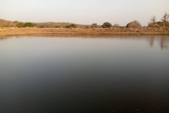IMG-20210112-WA0000