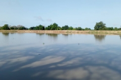 IMG-20210319-WA0024