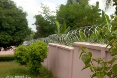 IMG-20210520-WA0014